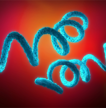 Skip to main content